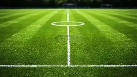 “塞尔吉尼奥报名受阻，申花对决恐无缘速归”