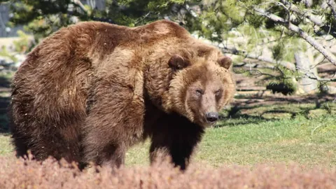 成都世运会巡回赛匈牙利选手3月30日独得首金开赛