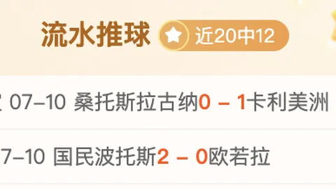 巴乙焦点战：福塔雷萨博塔弗戈，2026赛季独家解析